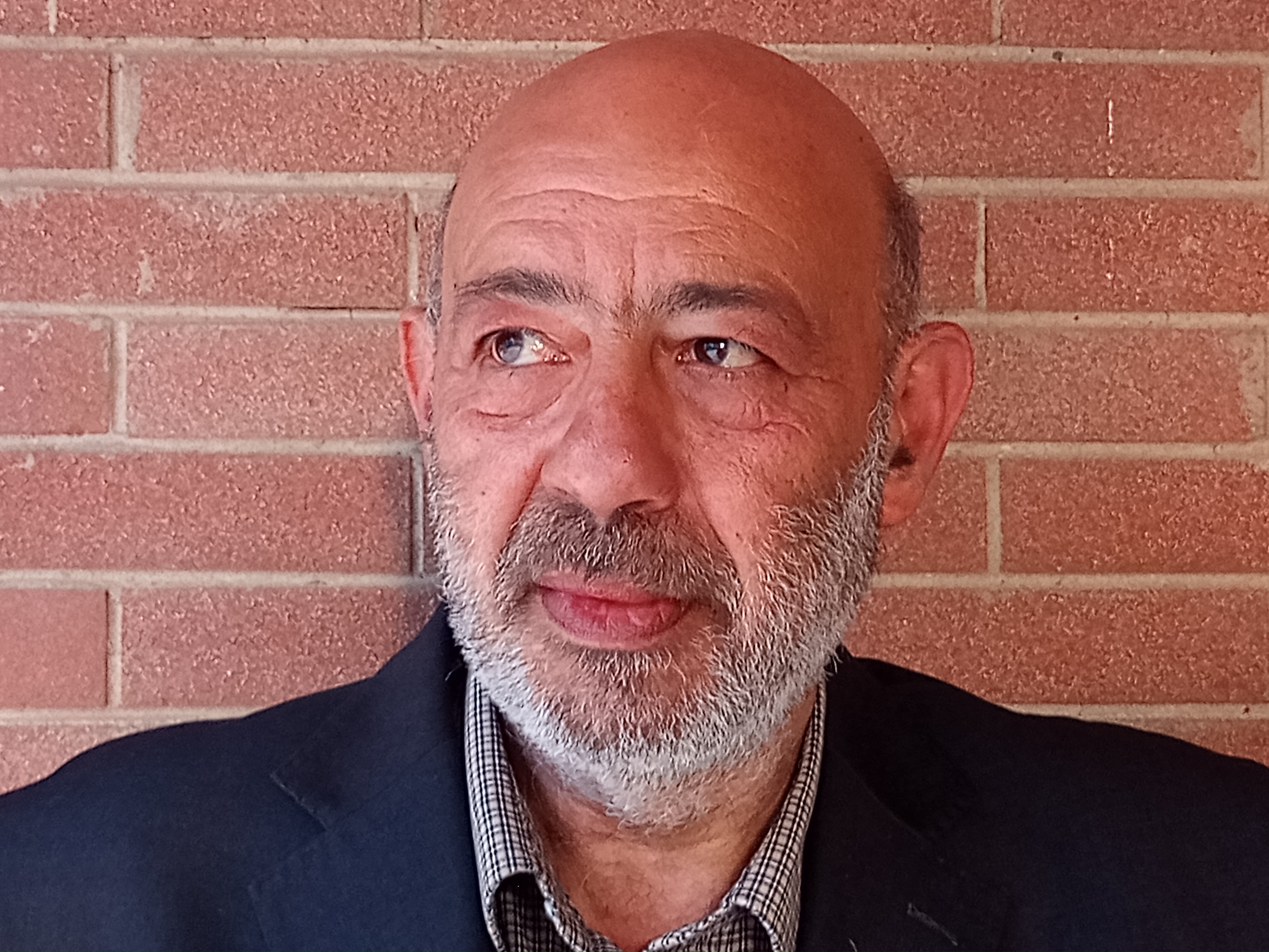 amedeo pistolese professore